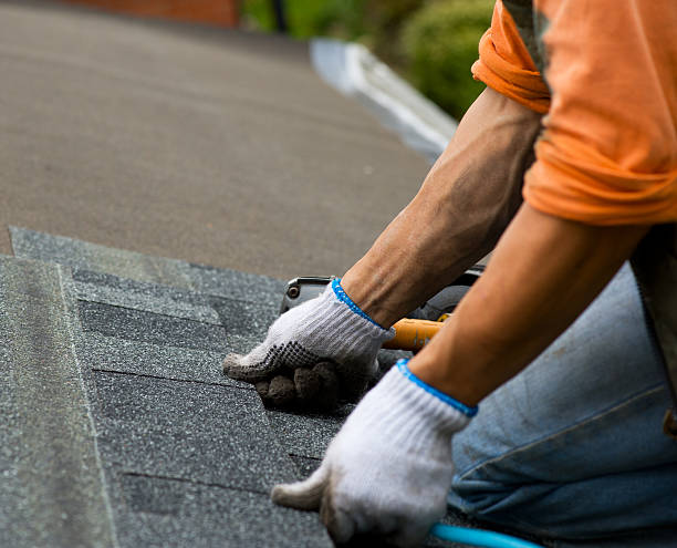 Best Metal Roofing Contractor  in Corry, PA